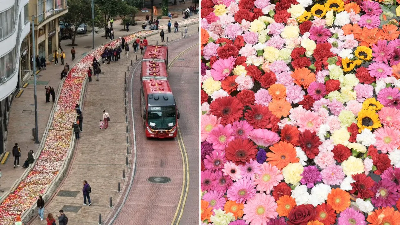 150.000 flores en el eje ambiental Imagen principal