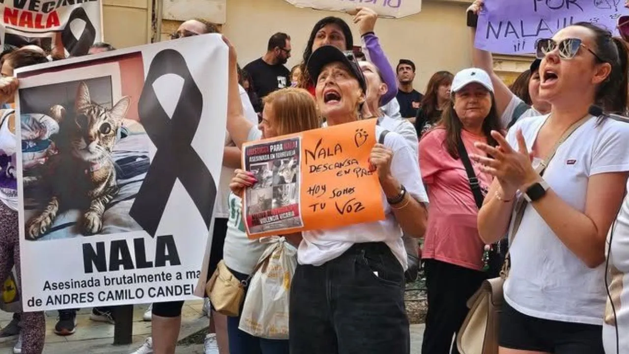 imagen dada