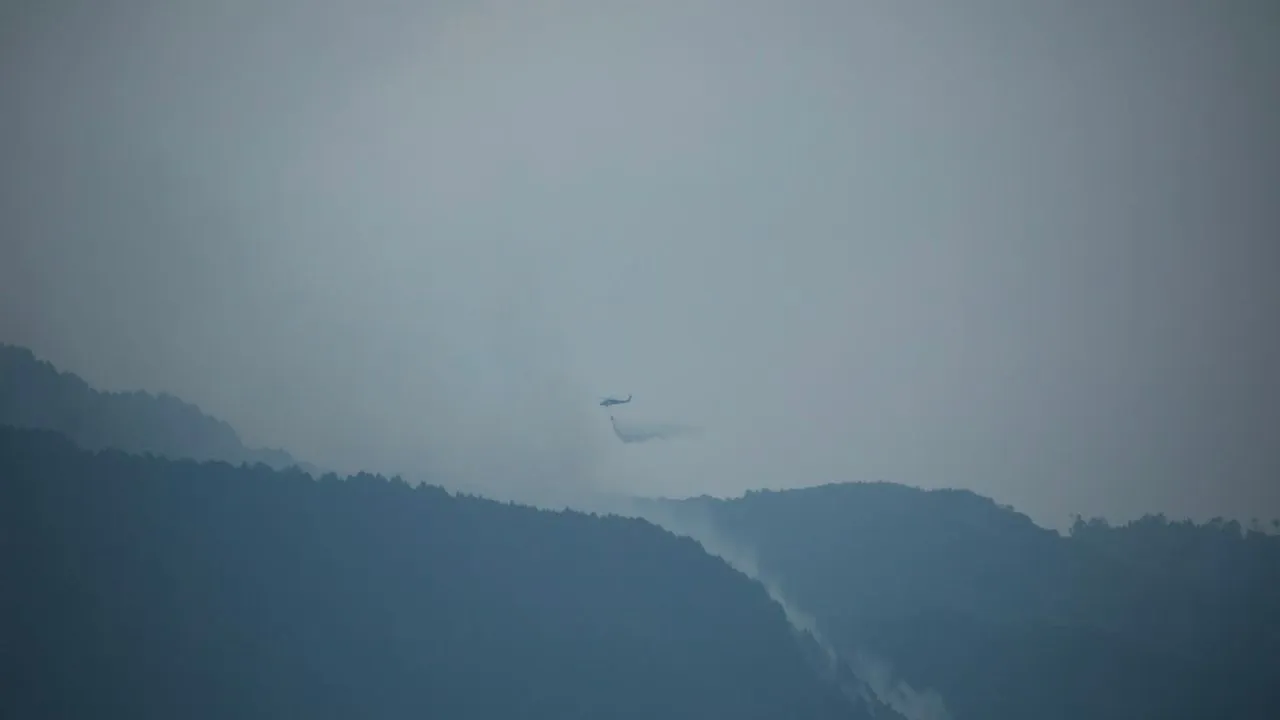 Incendio forestal