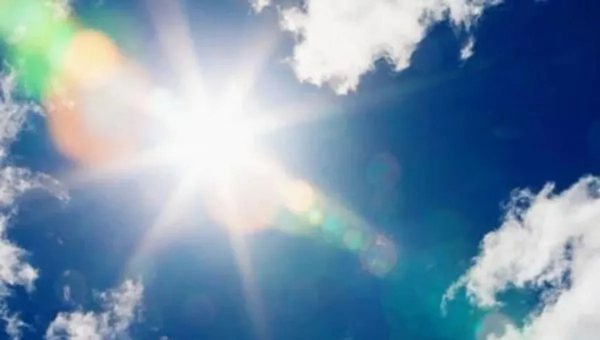 imagen dada