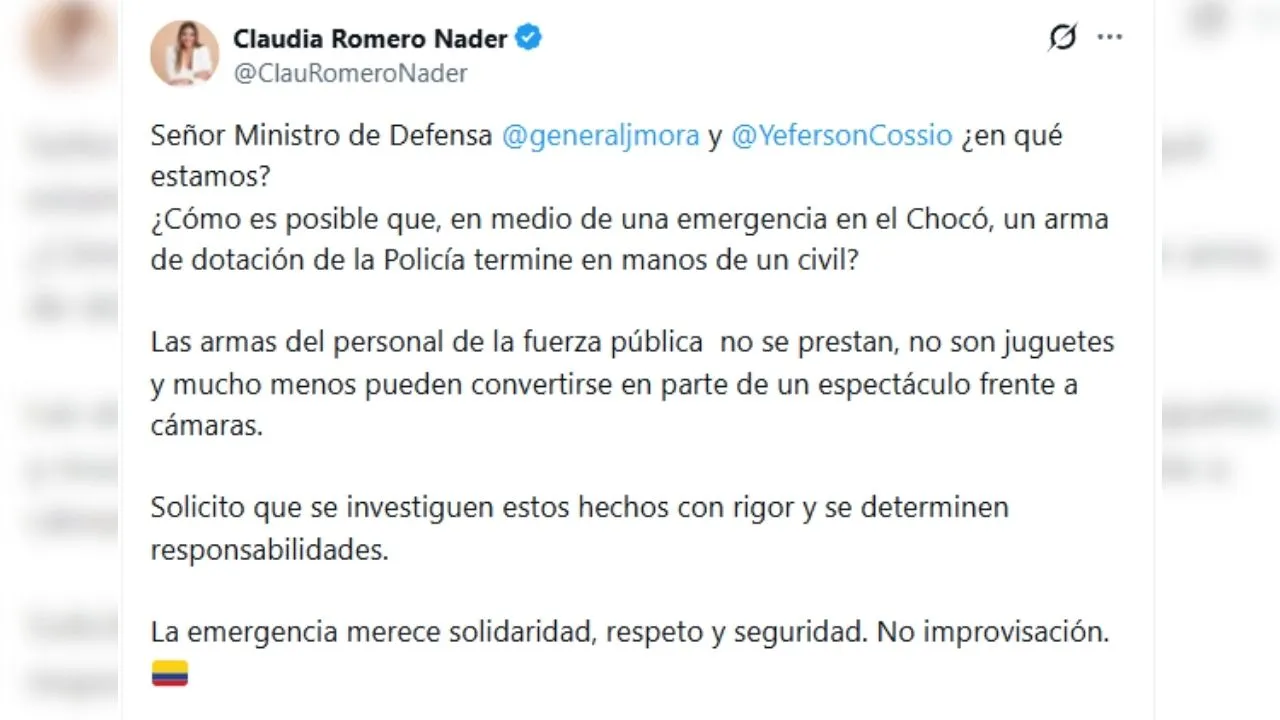 Pronunciamiento de Claudia Romero Nader