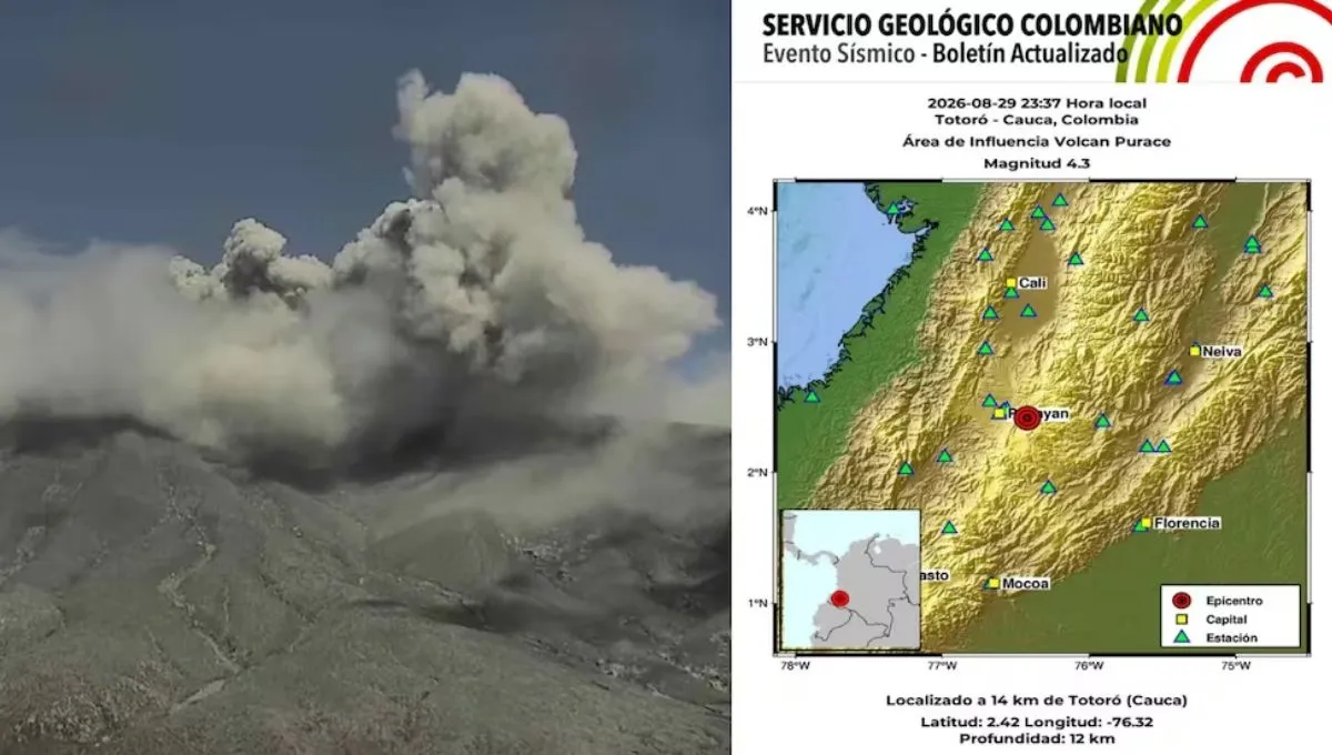 imagen dada
