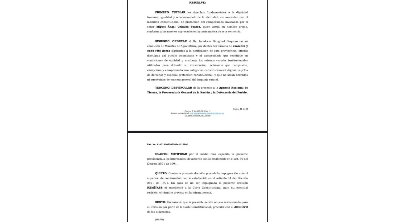 imagen dada