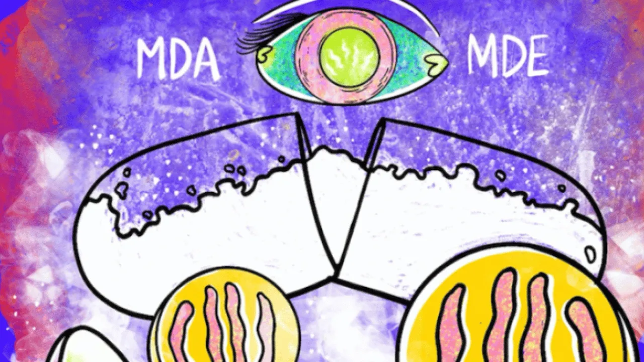 imagen dada