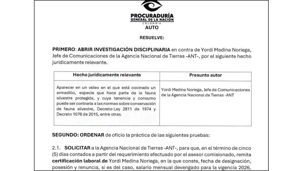 imagen dada