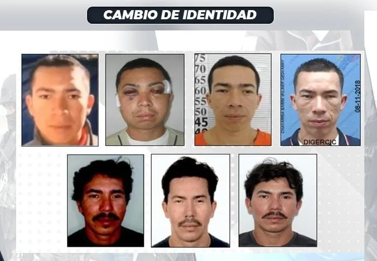 Alias Pipo, fue capturado en M&aacute;laga, Espa&ntilde;a.