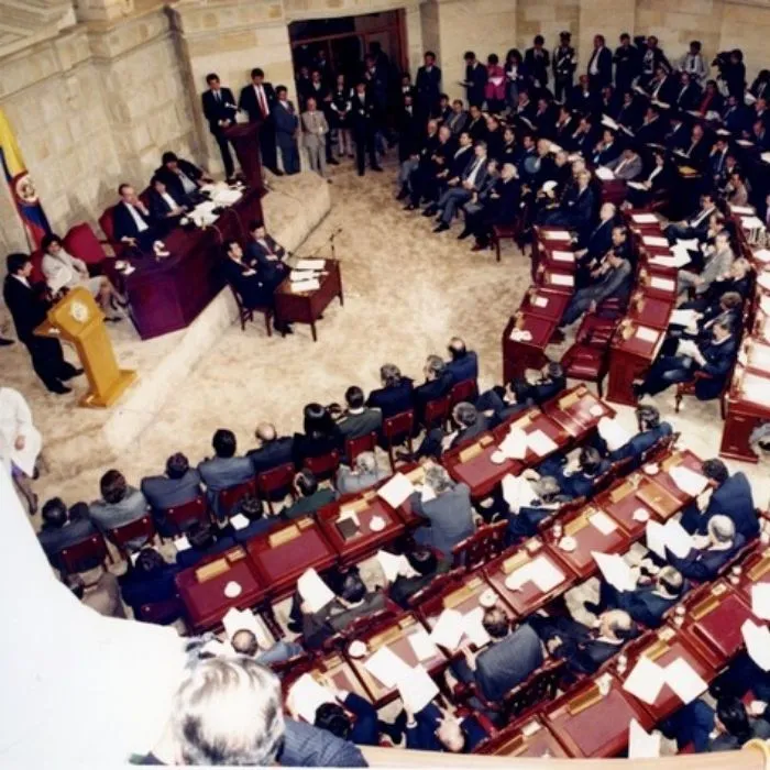 Asamblea Constituyente de 1991