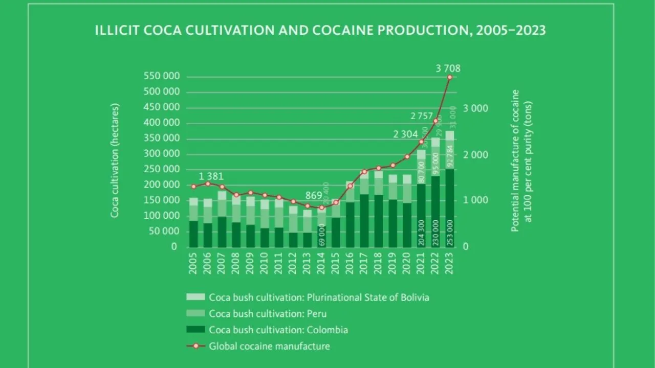 Gráfico de hectáreas de coca a nivel mundial y toneladas de producción.