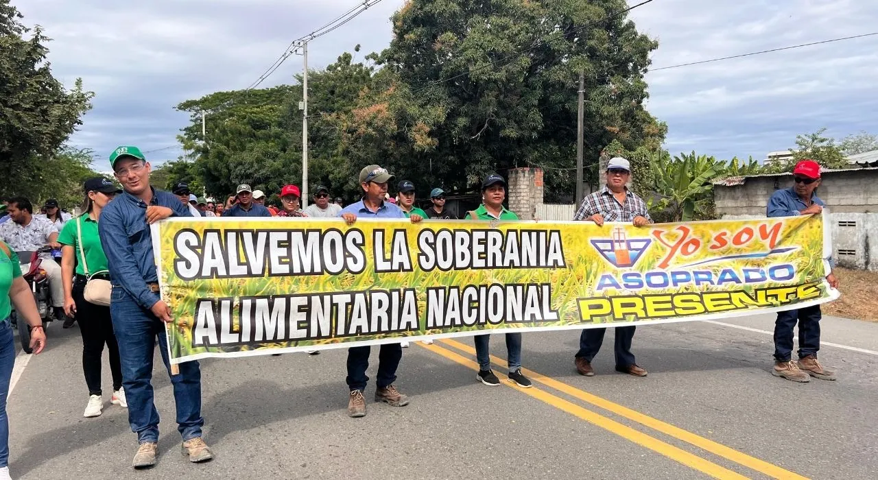 imagen dada