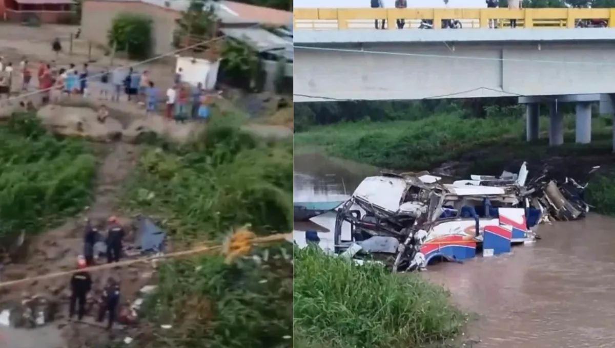 Imagen de la noticia
