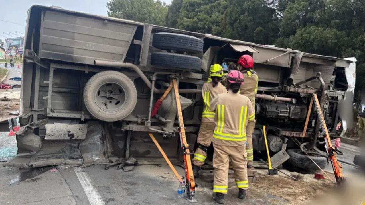 Imagen de la noticia