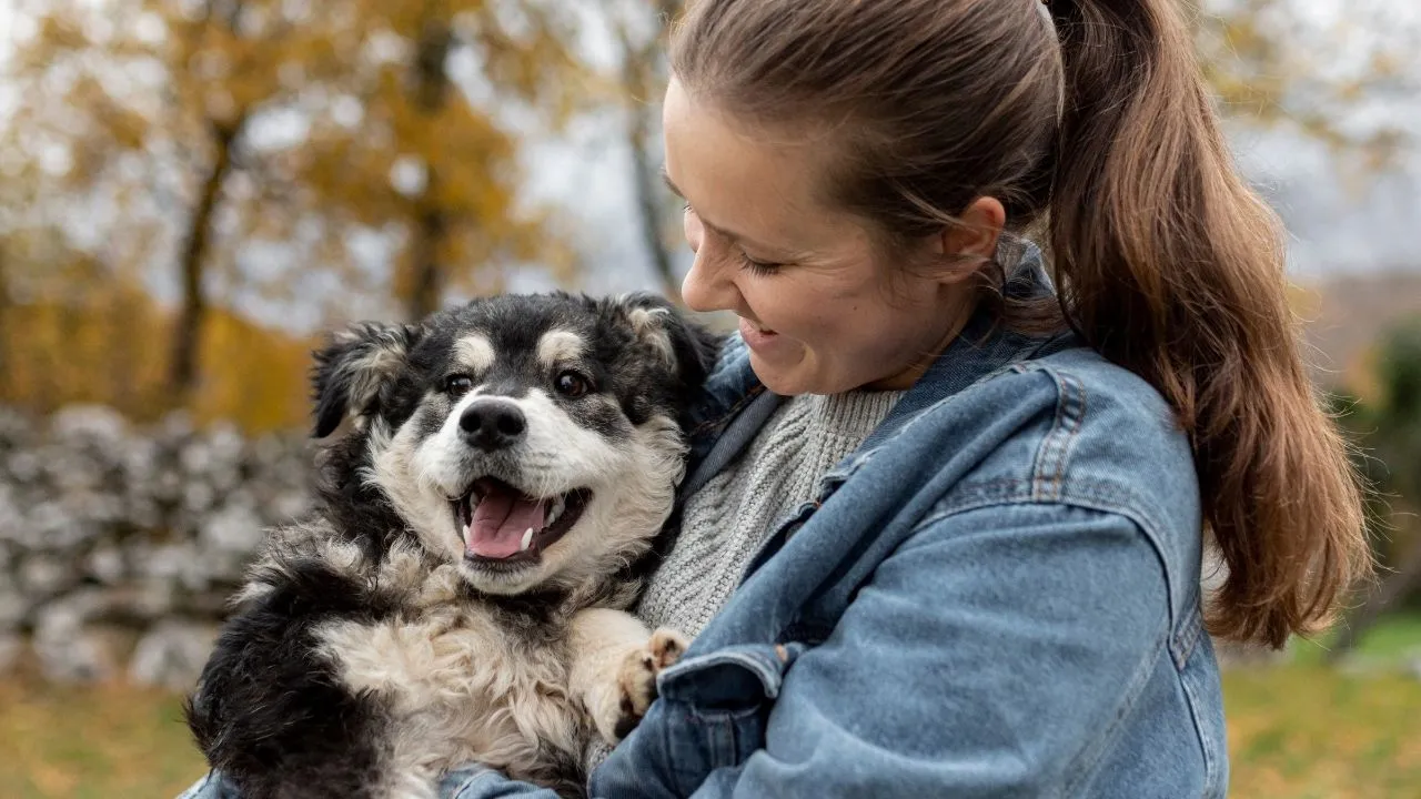 Guía esencial: cinco consejos para una adopción responsable de mascotas