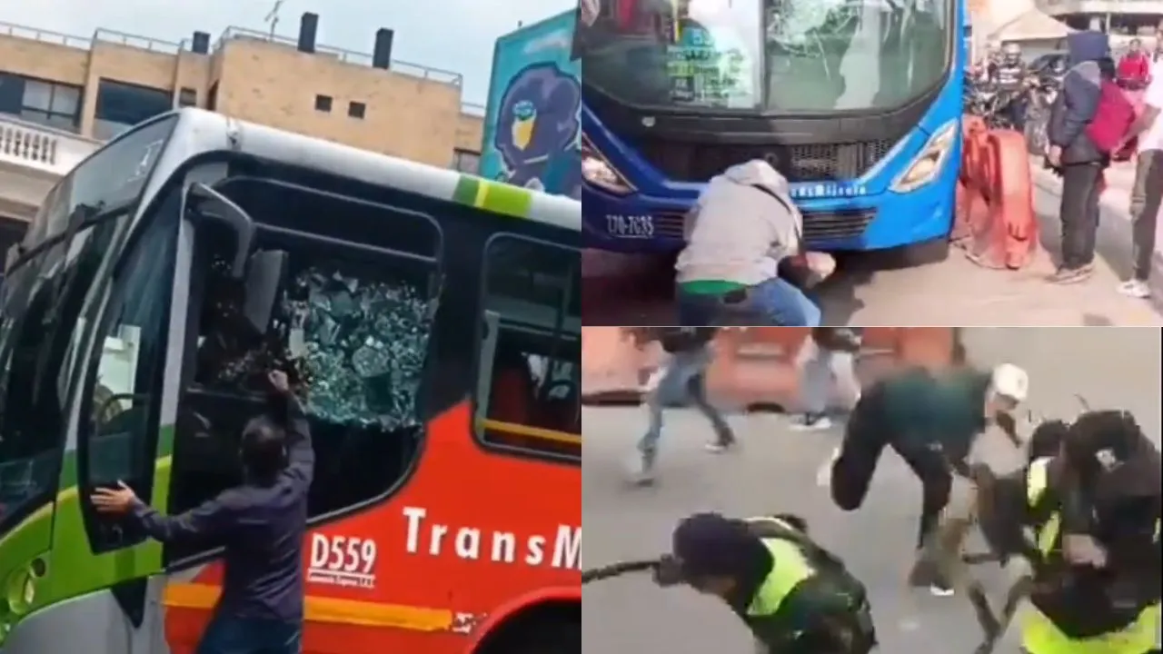 Imagen de la noticia