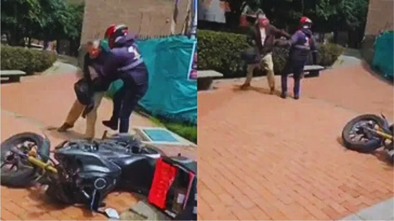 Imagen de la noticia