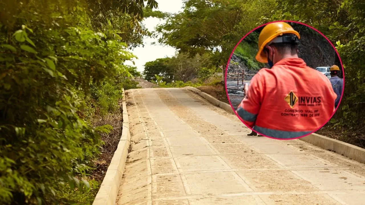 Imagen de la noticia