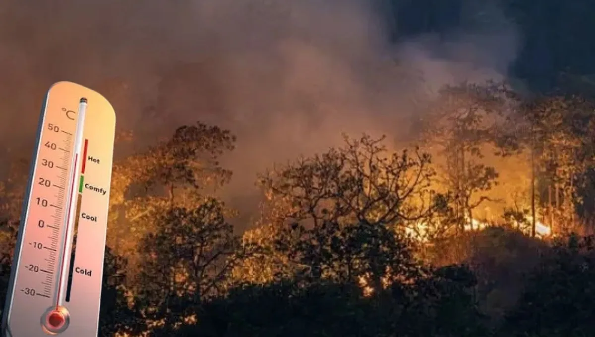 Altas temperaturas afectan varias regiones de Colombia. Ideam alerta por ola de calor en Colombia: estas regiones tendrán más calor y riesgo de incendios