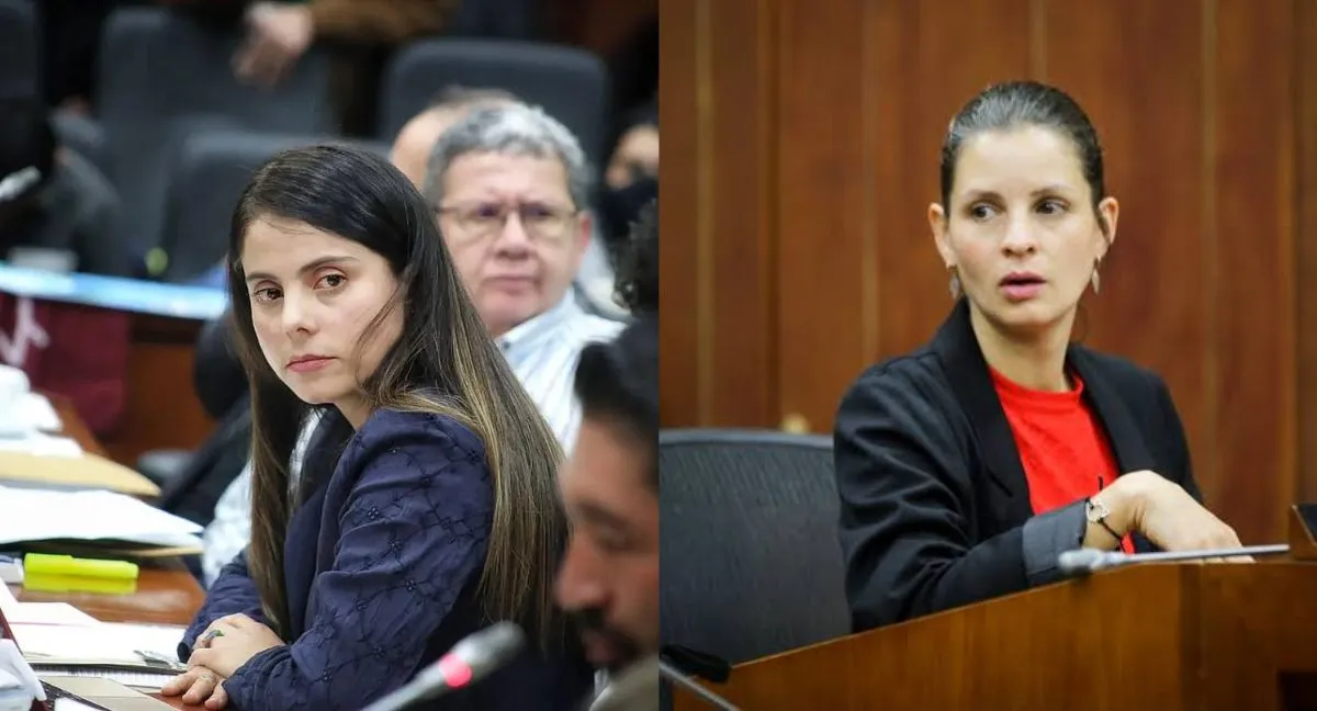 Andrea Padilla y Esmeralda Hernández se confrontaron en redes sociales ¿Por qué Andrea Padilla y Esmeralda Hernández se enfrentan por el proyecto contra la zoofilia?