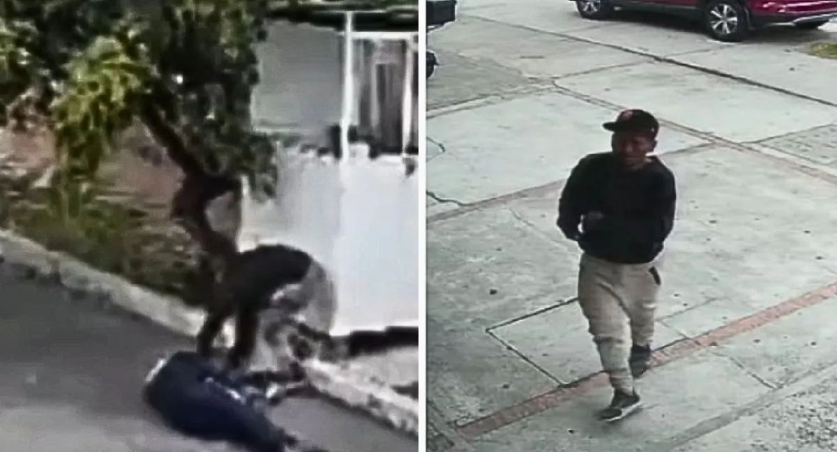 Ataque vigilante Bogotá Videos | Vigilante lucha por su vida tras ser golpeado con una roca en Bogotá: buscan al agresor