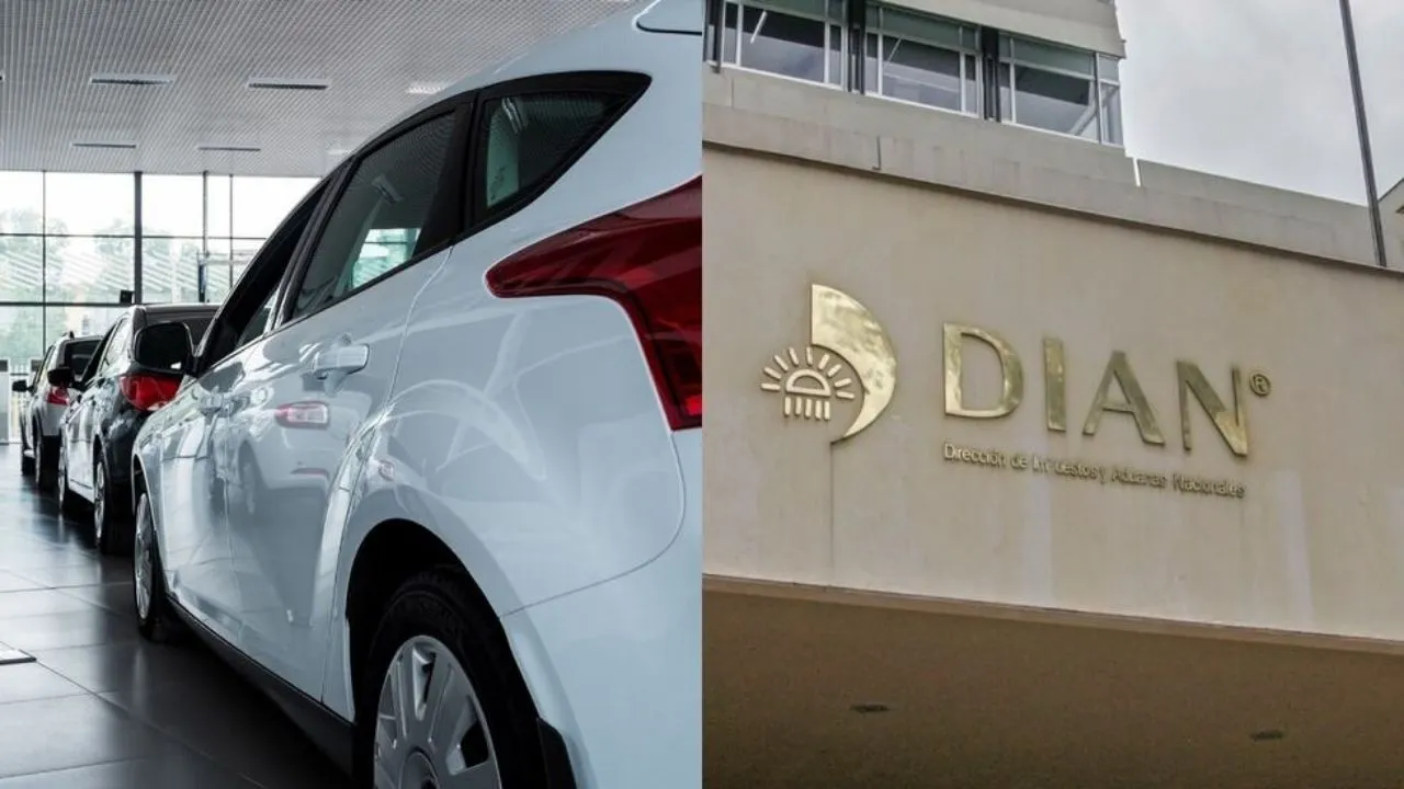 Imagen de la noticia