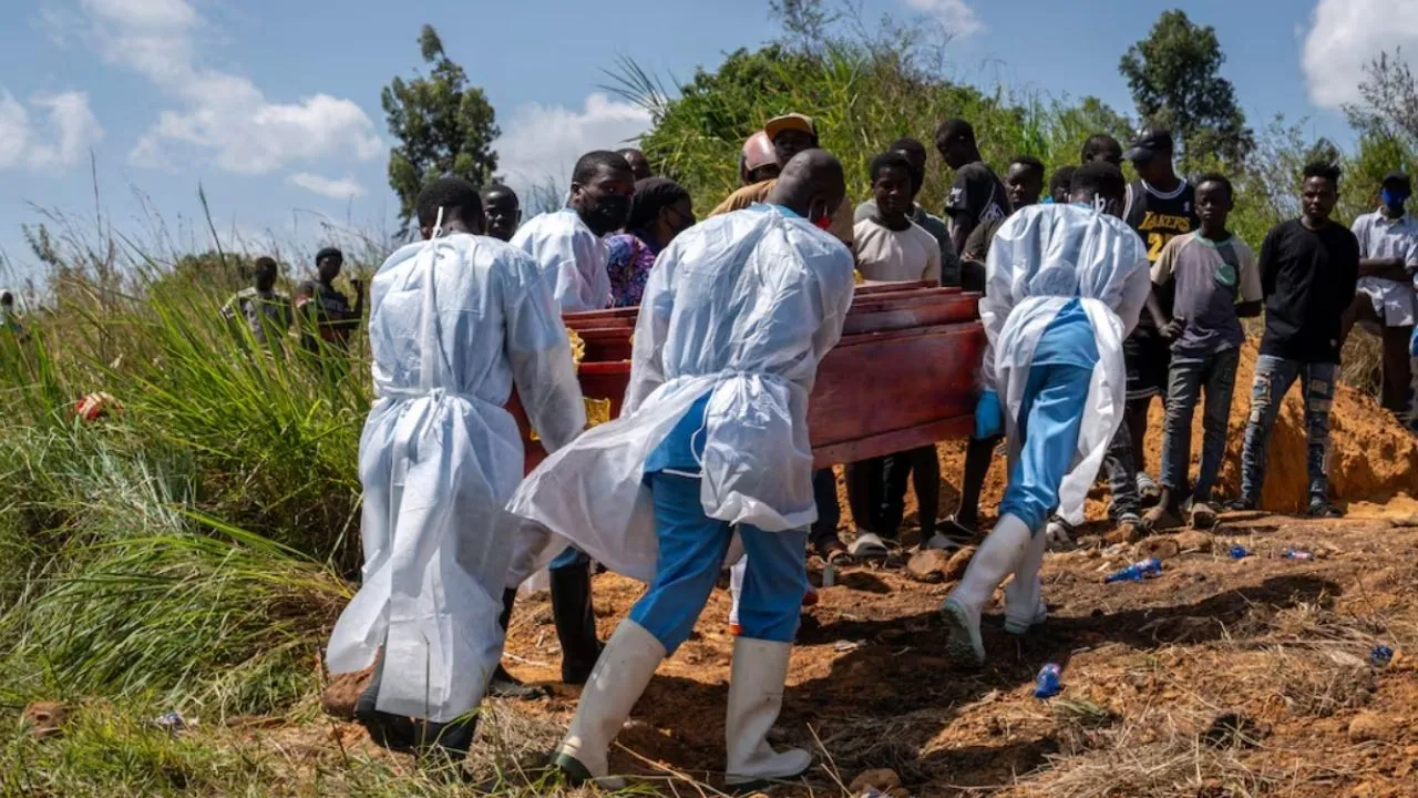 Brote de ébola en la RDC supera los 1.000 casos y deja 254 muertos Alerta por ébola en la República Democrática del Congo: el brote ya supera los 1.000 casos