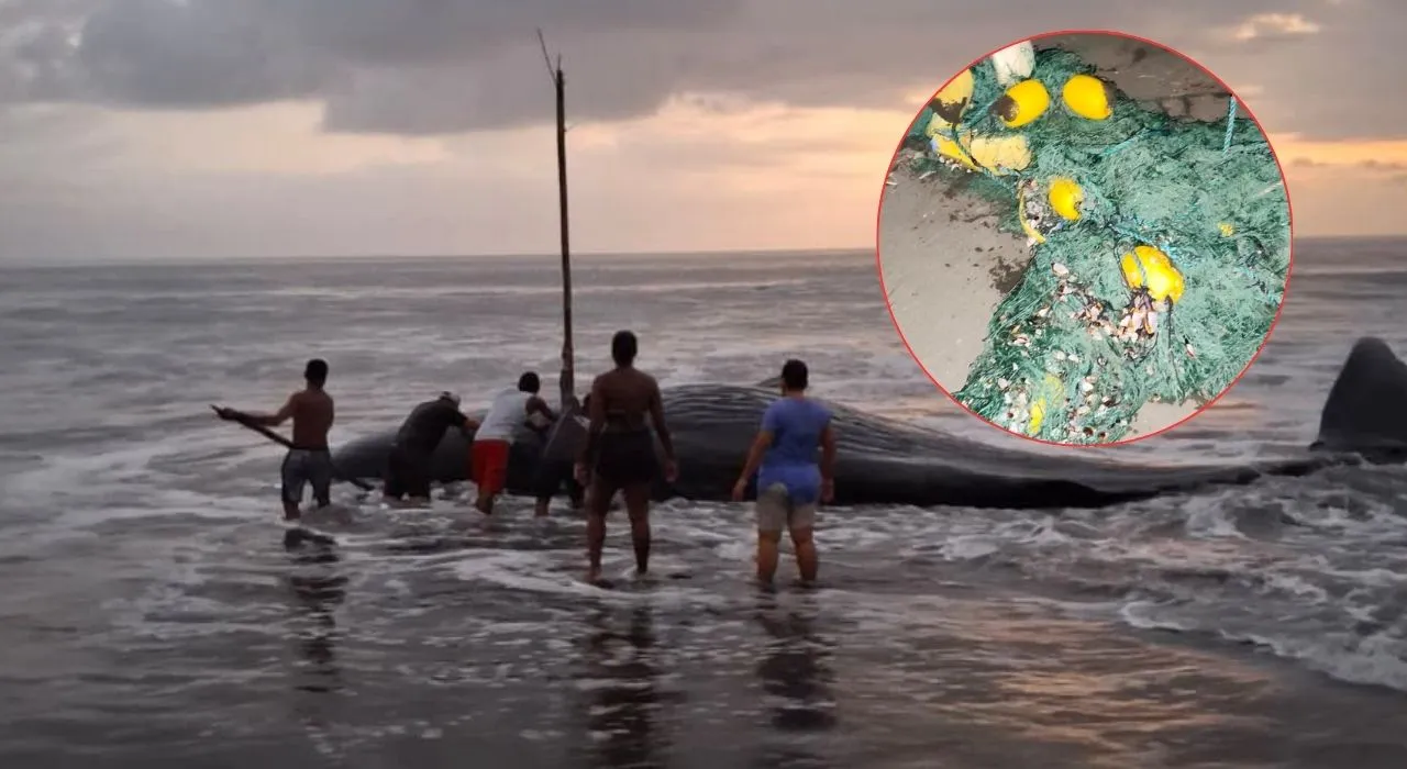 Imagen de la noticia