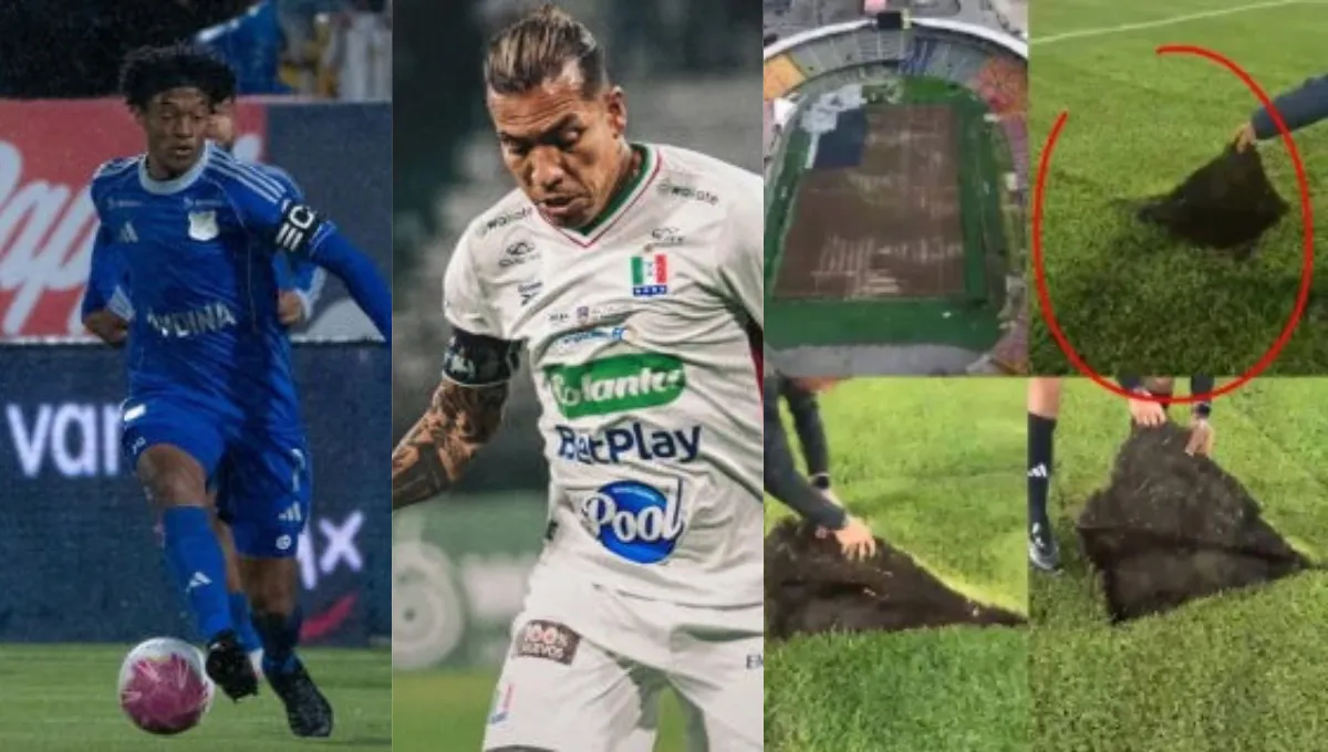 Imagen de la noticia