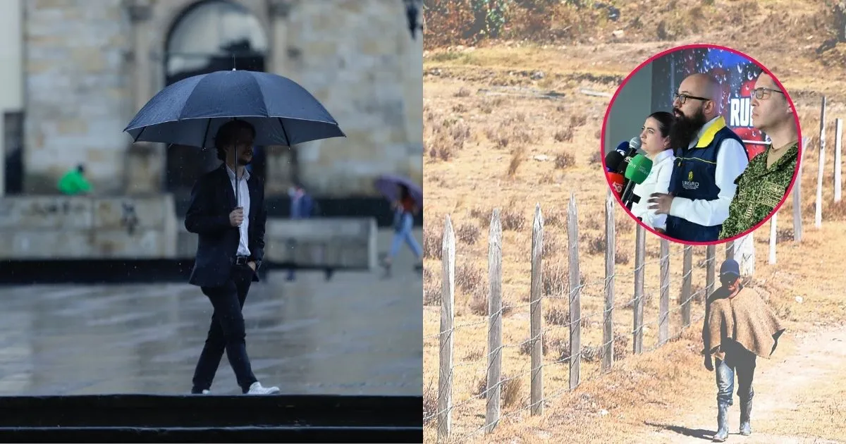 Imagen de la noticia