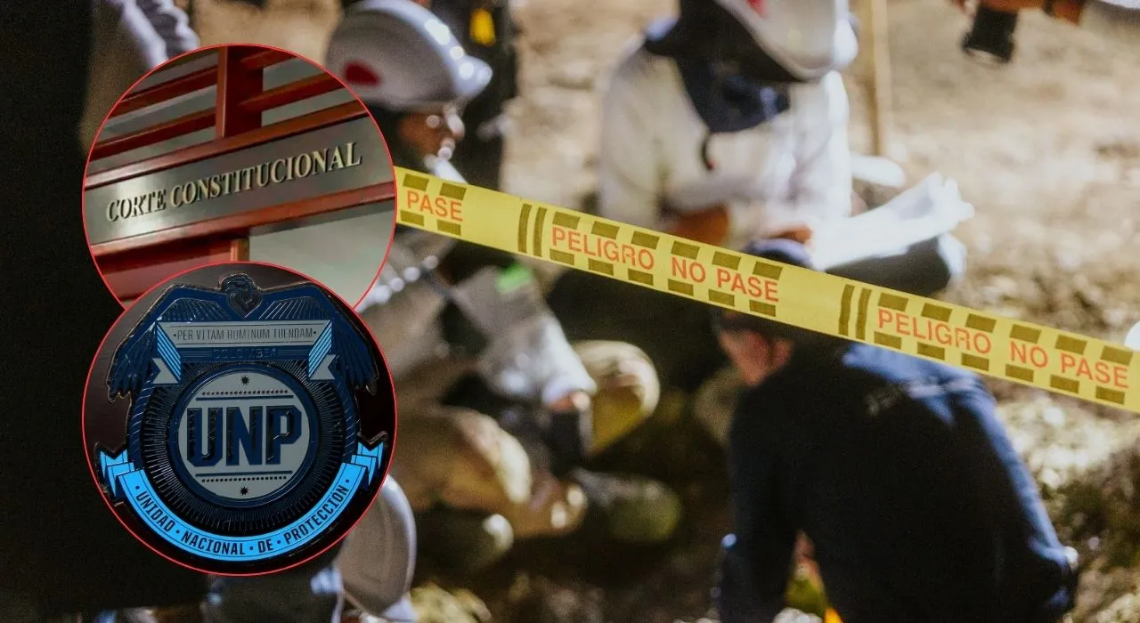 Corte ordena aumento de recursos a la UNP  Más recursos para protección de líderes sociales: Corte Constitucional