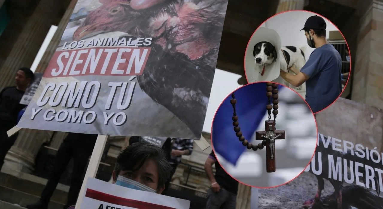 Corte reitera que los animales son seres sintientes Imagen principal