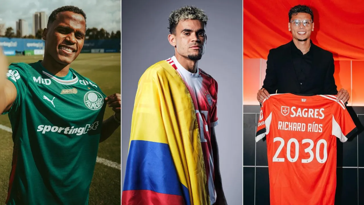 Imagen de la noticia