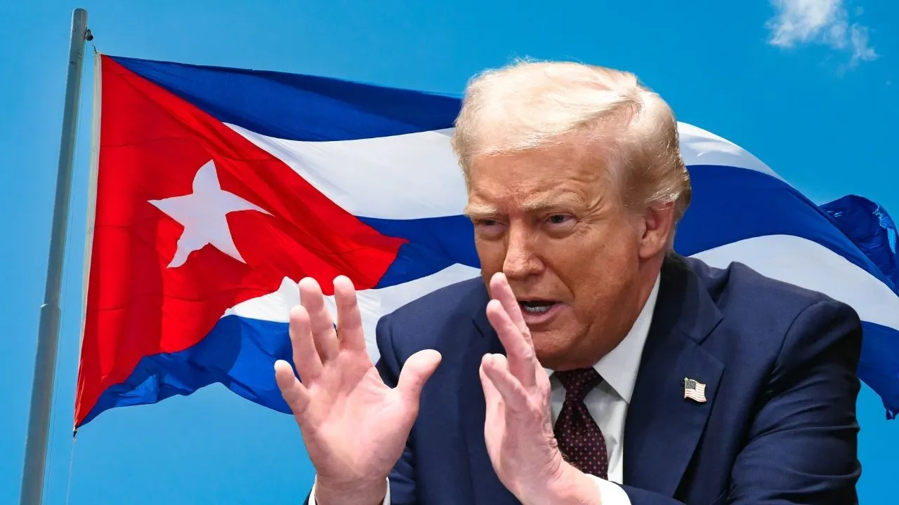 Imagen de la noticia