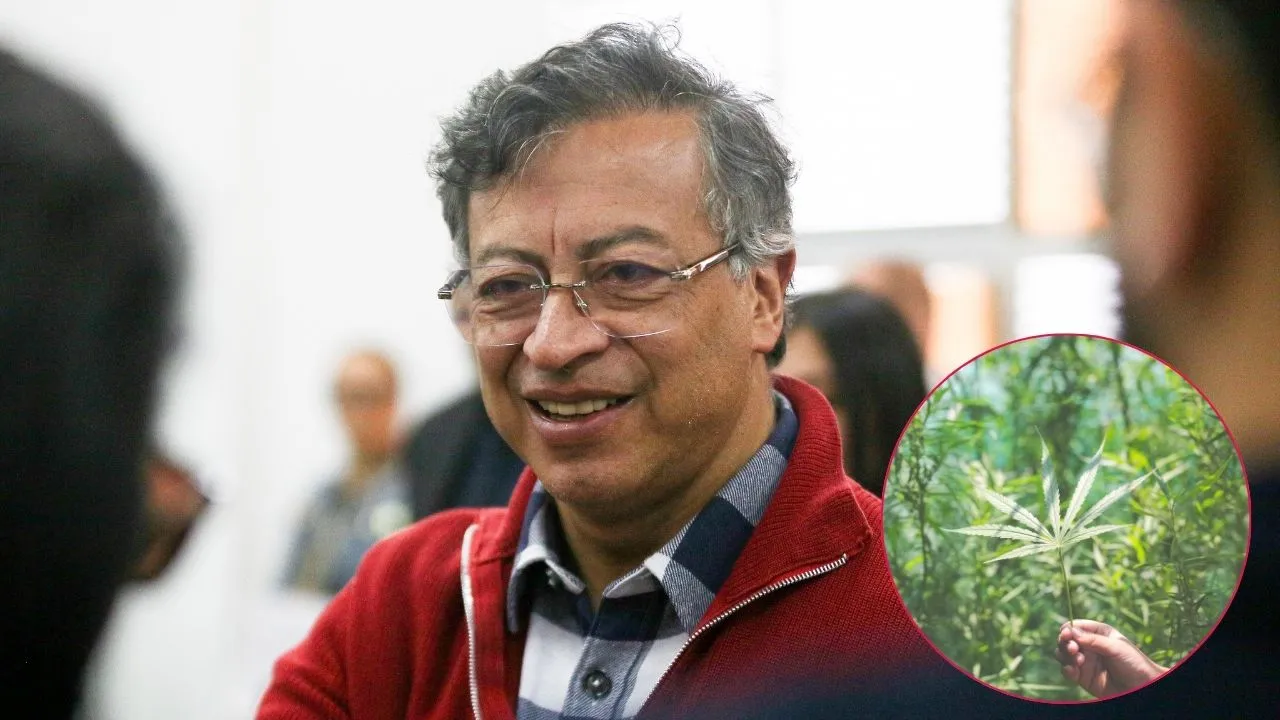 Cultivos de coca en Colombia tuvieron leve aumento en 2024 Imagen principal