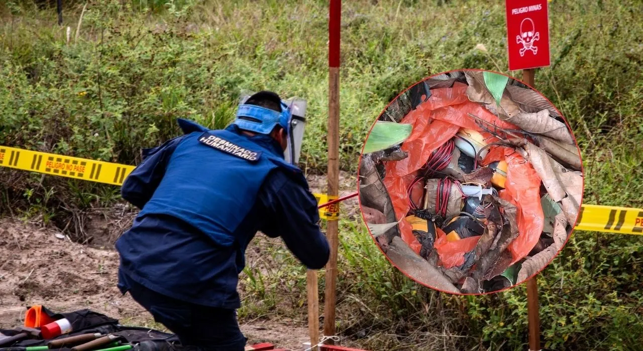 Imagen de la noticia