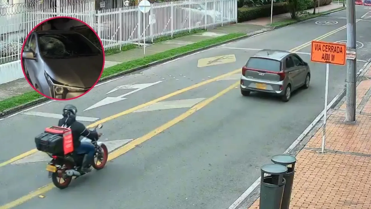 Imagen de la noticia