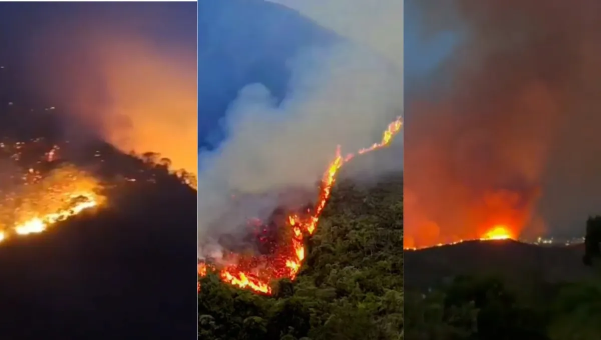El incendio forestal avanza hacia zonas pobladas de Ábrego. Impactantes imágenes: voraz incendio forestal en Ábrego, Norte de Santander, avanza a zonas pobladas