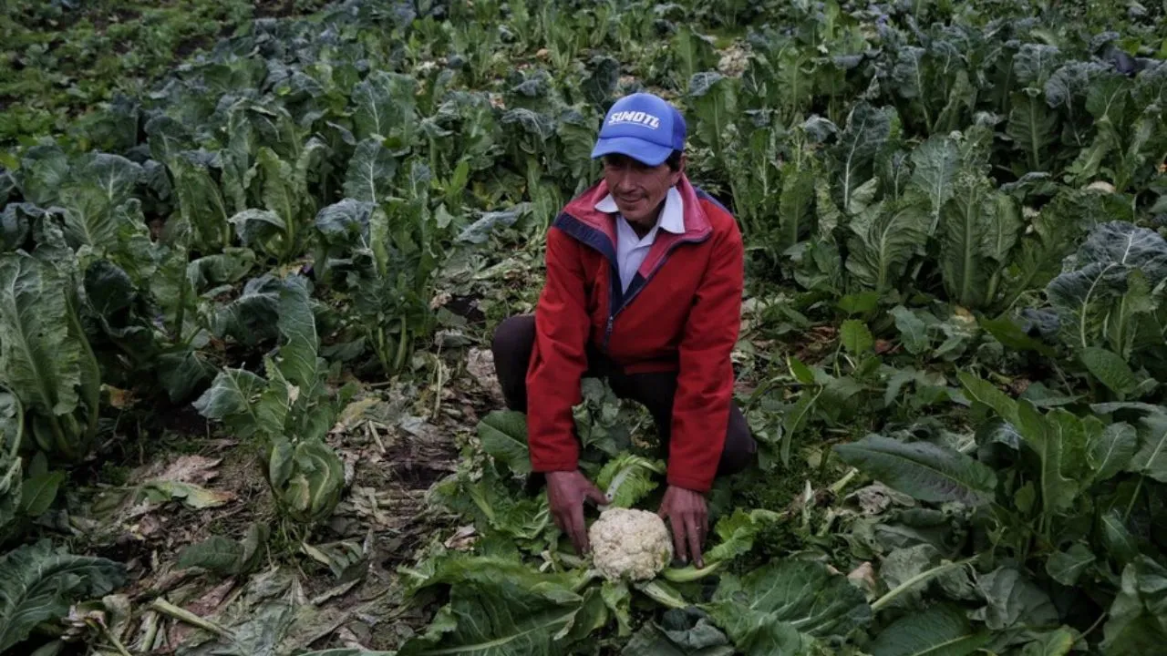 Un megaproyecto agropecuario promete millonarias inversiones de dólares en Colombia