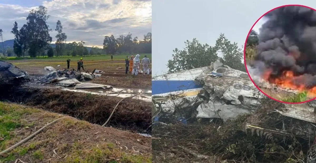 Imagen de la noticia