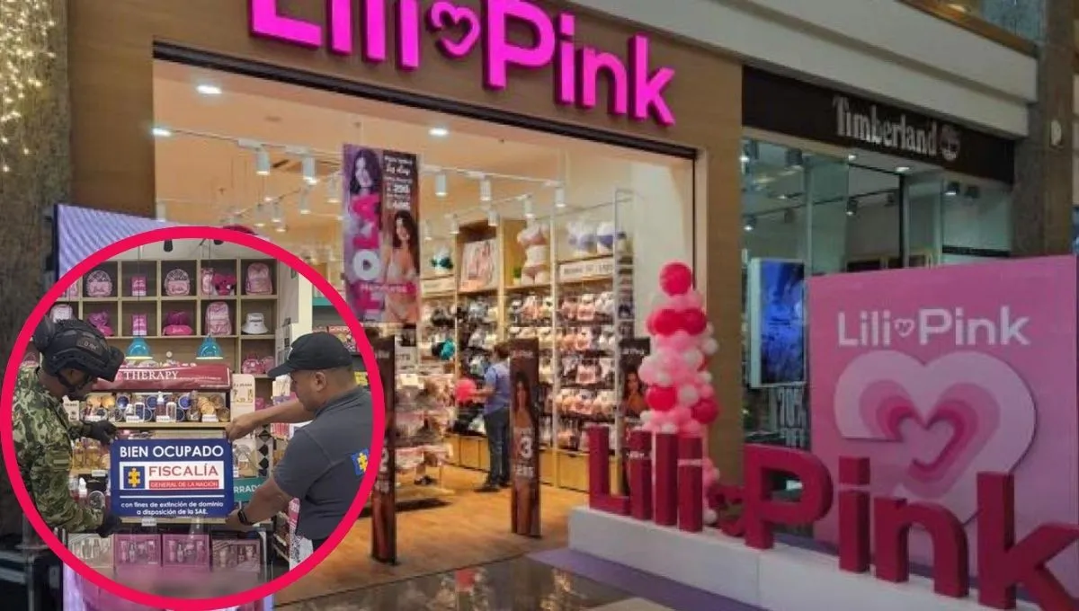 Elephant Import y Export fue incluida en la investigación patrimonial del caso Lili Pink. Elephant Import y Export: la empresa que quedó en el centro del caso Lili Pink