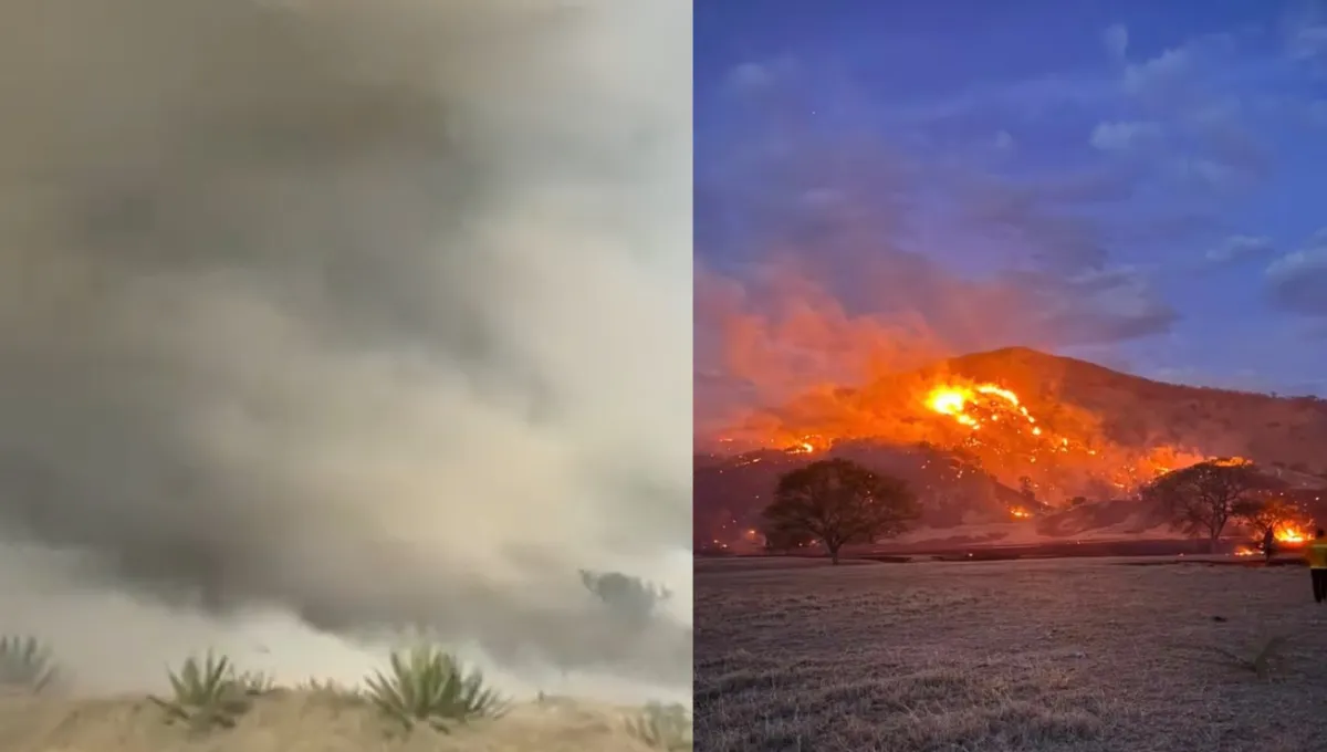 Emergencias por incendios forestales en Cundinamarca. Alerta en Cundinamarca: dos incendios siguen activos en Puerto Salgar y Bojacá