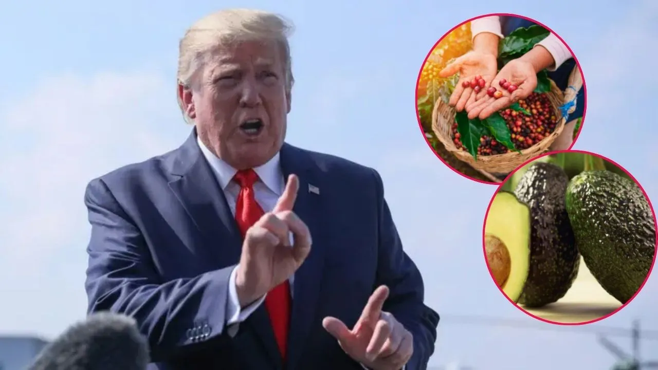 Estados Unidos retiró aranceles a varios productos agrícolas importados. Estados Unidos retiró aranceles a varios productos agrícolas importados.