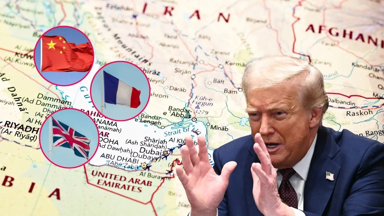 Imagen de la noticia