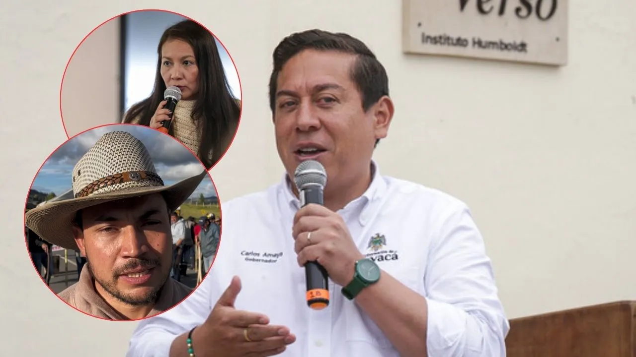 Gobernador de Boyacá pide ayuda al Gobierno Nacional para solucionar los paros Imagen principal