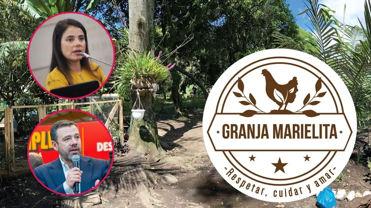 Imagen de la noticia