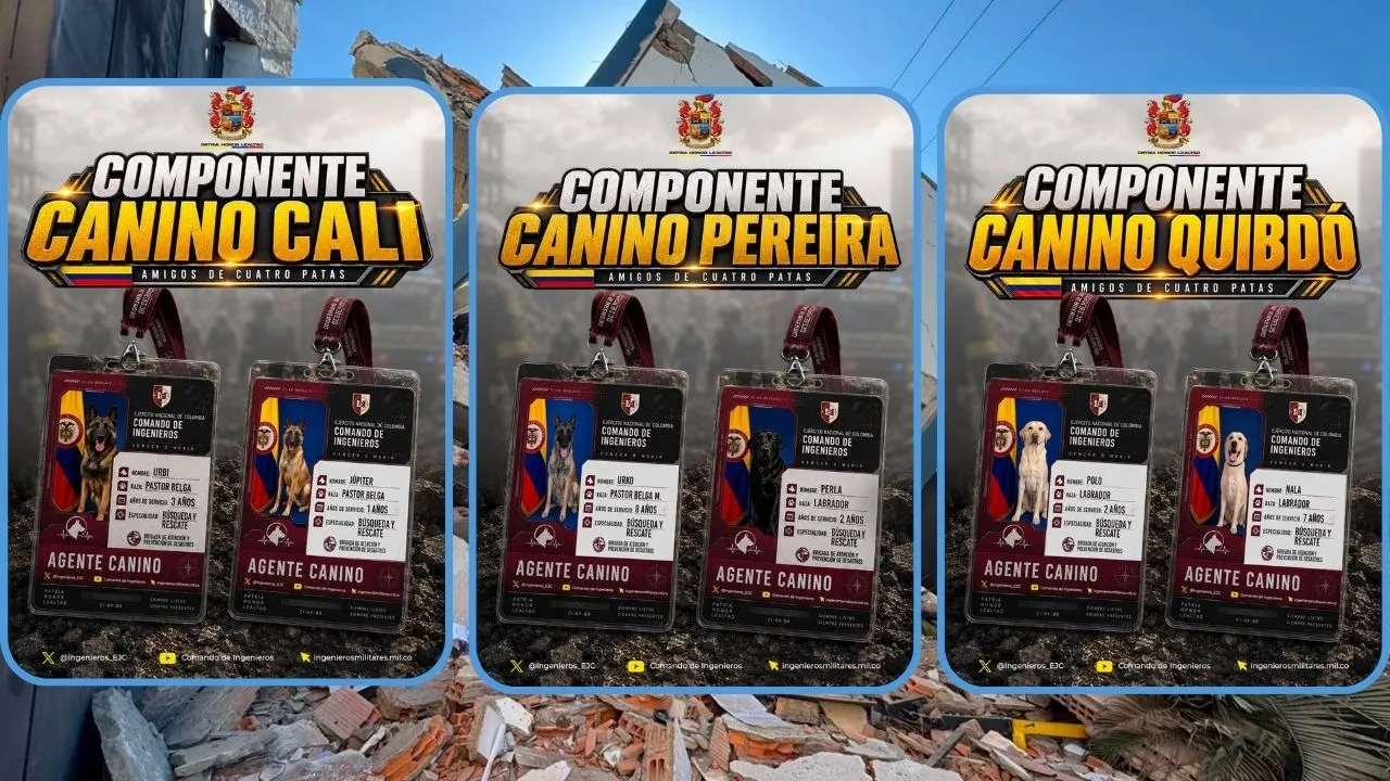 Héroes caninos en zonas de sismo Héroes de cuatro patas: estos son los caninos rescatistas del Ejército en medio de la tragedia