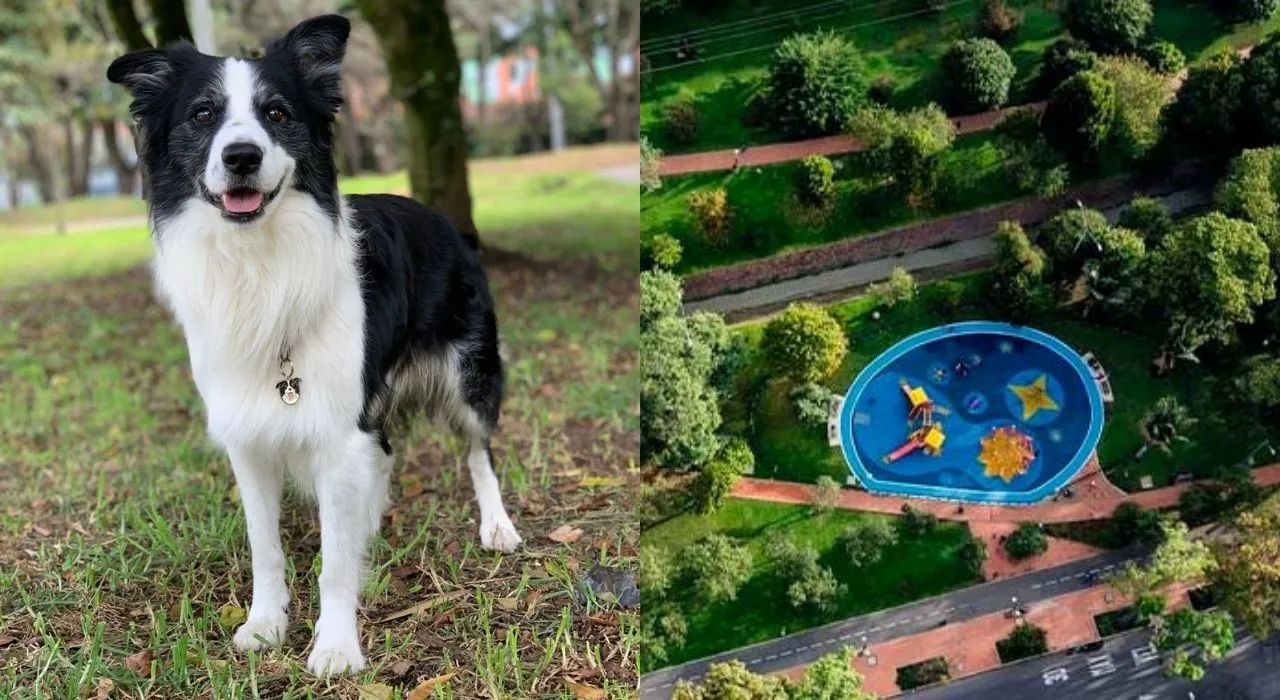 Los mejores parques para perros en Bogotá que debes visitar con tu mascota
