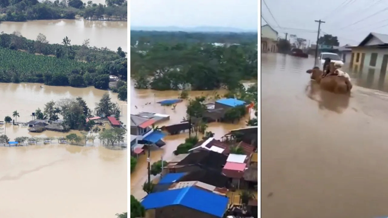 Imagen de la noticia