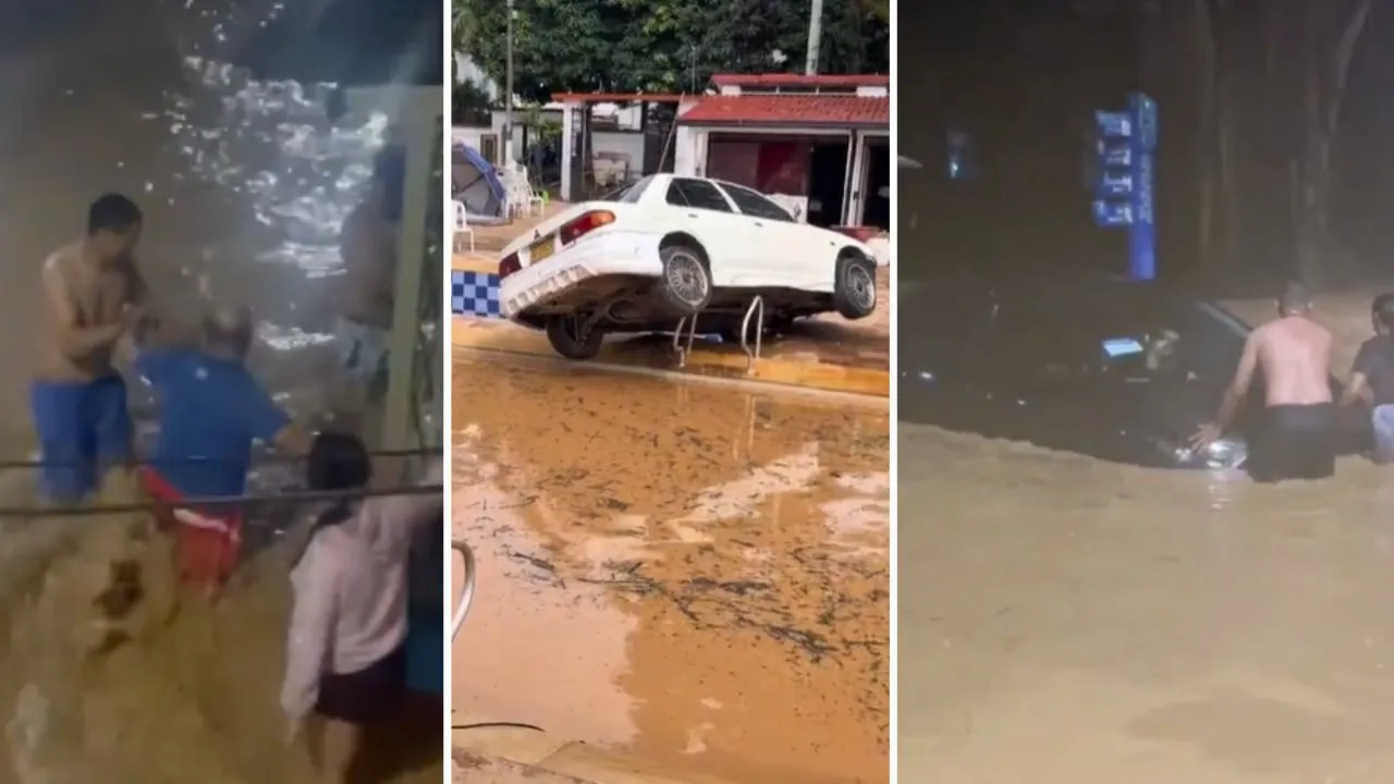 Imagen de la noticia