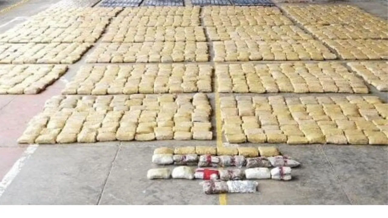 Incautaciones de Drogas Imagen principal