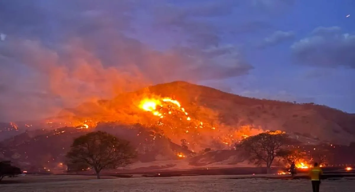 Incendios Cundinamarca Cundinamarca enfrenta nuevos incendios forestales: hay focos muy cerca de Bogotá