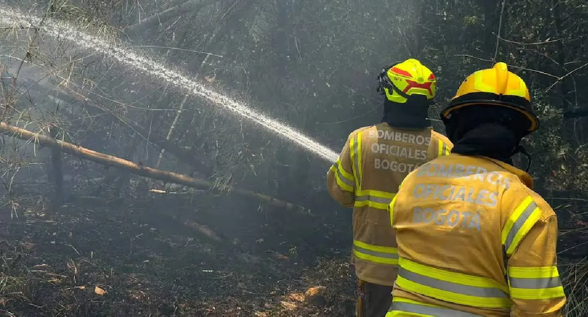 Incendios forestales en Colombia Lluvias reducen las alertas por incendios, pero el fuego sigue activo en este departamento